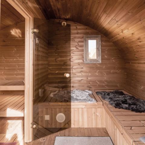 SaunaLife Model G11 8-Person Outdoor Traditional Sauna