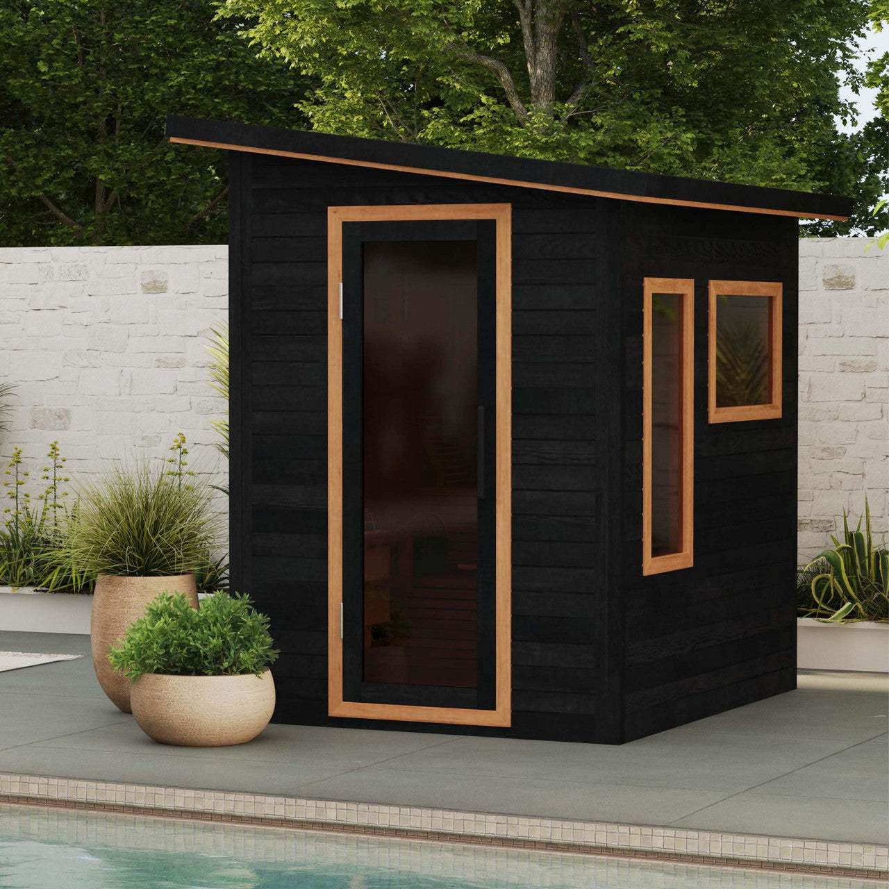 Selenia 4-Person Outdoor Red Cedar Traditional Wet/Dry Sauna with Black Accents