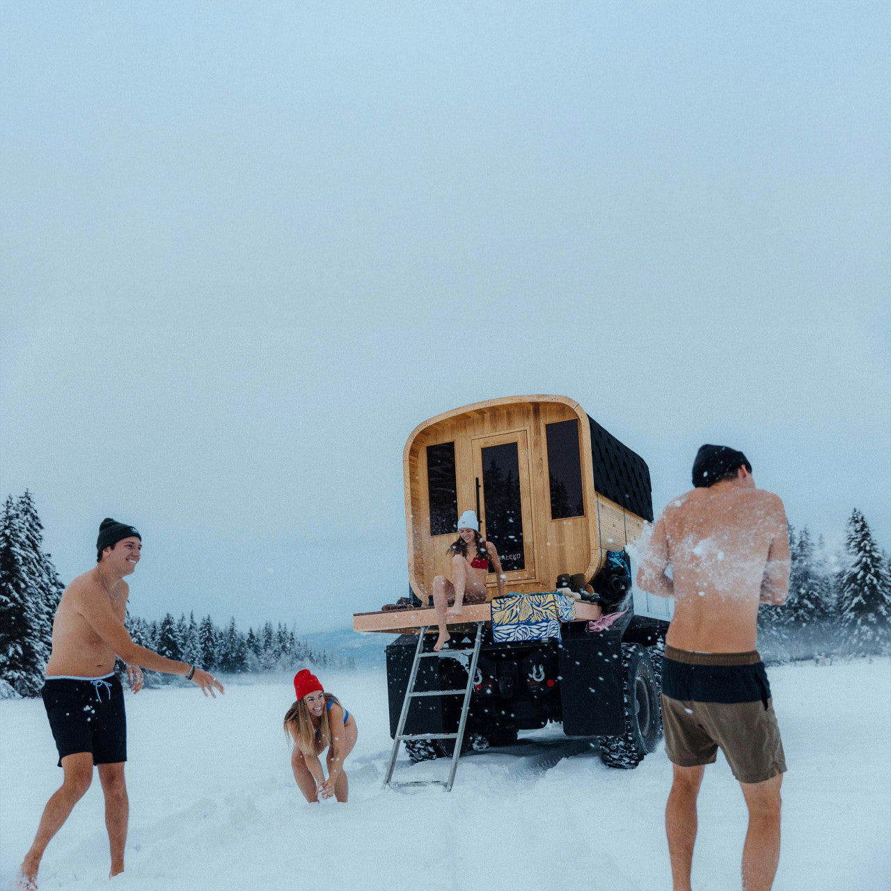 Arnica 4-Person Outdoor Rustic Cedar Traditional Square Wet/Dry Sauna